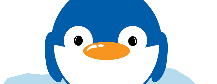 2018 Penguin Plunge presented by Bluegrass Cellular